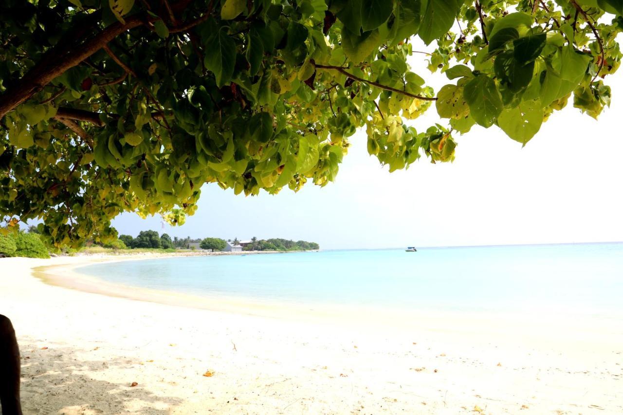 Pandanus Villa Velidhoo Exterior foto